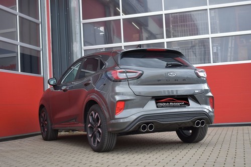 Friedrich motorsport duplex - friedrich,